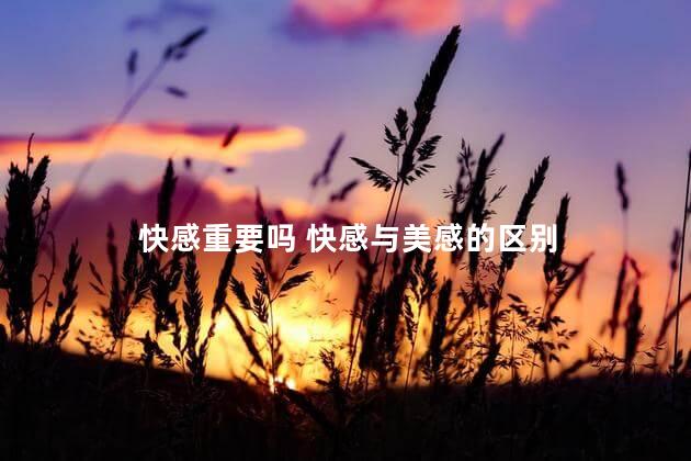 快感重要吗 快感与美感的区别